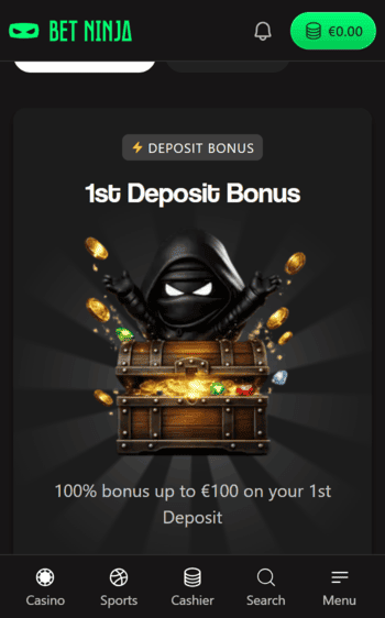 betninja casino wb screenshot