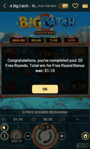 Fair Crown Casino win screenshot