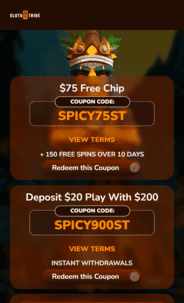 Sloto Tribe Casino Promo Screen