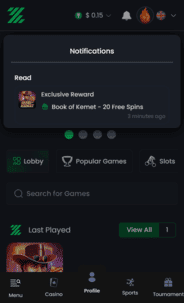 ZunaBet Casino Verification Screen