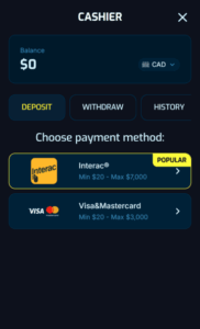 WagiBet Casino deposit screenshot