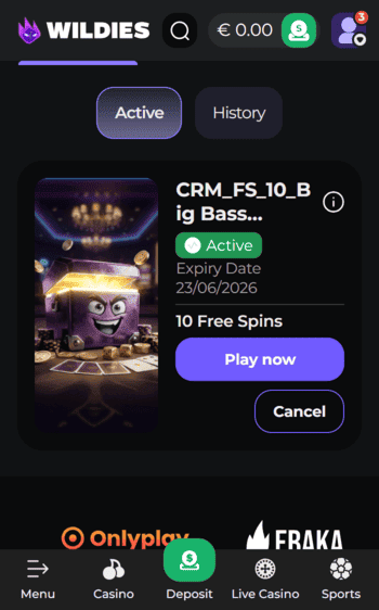 Wildies Casino Bonus Active