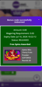 Omnislots-Casino_FreeSpinsBonus