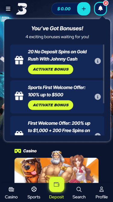 BetBeast Casino NDB Screenshot