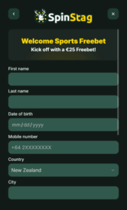 SpinStag Casino profile screenshot