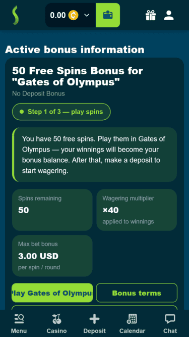StakeMania Casino Instructions