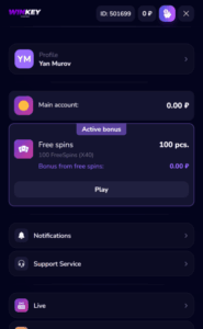 WinKey Casino NDB Screenshot