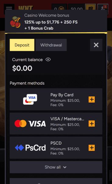 Wintino Casino deposit Screenshot