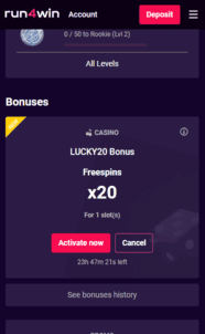 Run4Win Casino bonus screenshot