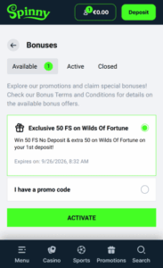 spinnycasino_ndb_screenshot SpinnyCasino WB Screenshot
