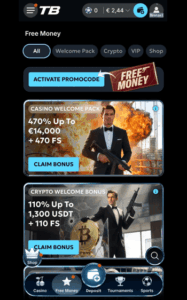 tweedbet casino win screenshot