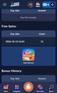 Bison Casino NDB Screenshot