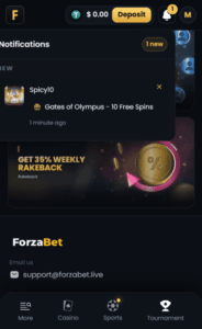 Forza.Bet Casino notification screenshot