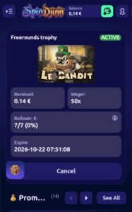 spindjinn casino win screenshot